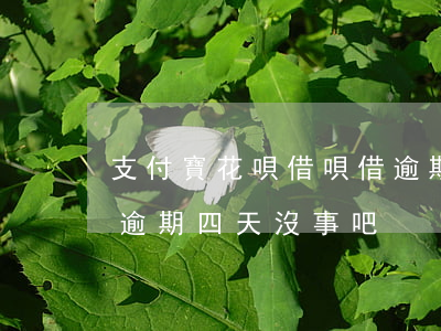 支付寶花唄借唄借逾期四個月-支付寶借唄逾期四天沒事吧