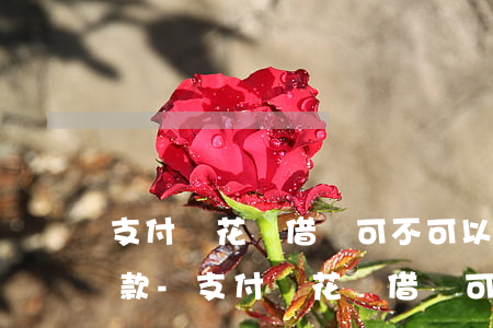 支付寶花唄借唄可不可以協(xié)商還款-支付寶花唄借唄可不可以協(xié)商還款呢