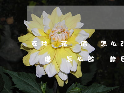 支付寶花唄借唄怎么改還款日期-支付寶花唄借唄怎么改還款日期和時(shí)間
