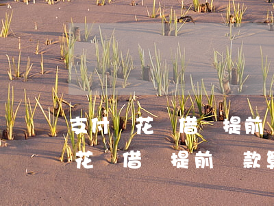 支付寶花唄借唄提前還款算違約嗎-支付寶花唄借唄提前還款算違約嗎怎么辦