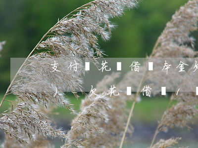 支付寶花唄借唄本金欠了不到一萬(wàn)-欠花唄借唄1萬(wàn)多無(wú)力償還會(huì)有什么后果