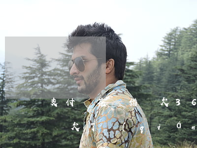支付寶花唄借唄欠36000(支付寶花唄借唄欠了錢(qián)無(wú)力償還怎么辦)