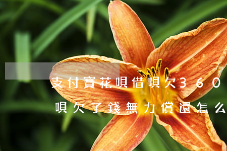 支付寶花唄借唄欠36000(支付寶花唄借唄欠了錢無力償還怎么辦)