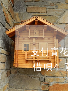 支付寶花唄借唄欠了3萬多咋辦(欠花唄3萬,借唄4萬,還不上,會(huì)有什么后果)