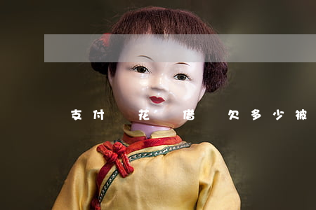 支付寶花唄借唄欠多少被法院起訴