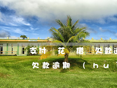 支付寶花唄借唄欠款逾期-支付寶花唄借唄欠款逾期會(huì)收到律師函嗎