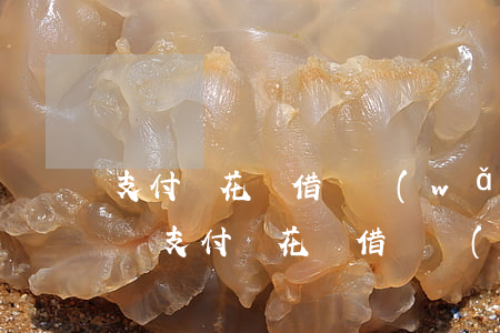 支付寶花唄借唄網(wǎng)商貸逾期七萬(支付寶花唄借唄網(wǎng)商貸逾期七萬)