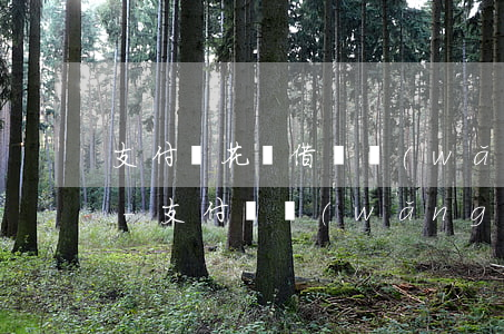 支付寶花唄借唄網(wǎng)商貸逾期了-支付寶網(wǎng)商貸借唄花唄全部都逾期了