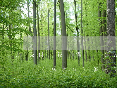 支付寶花唄借唄網(wǎng)商貸逾期十萬(wàn)多-欠網(wǎng)商貸和借唄20萬(wàn)逾期