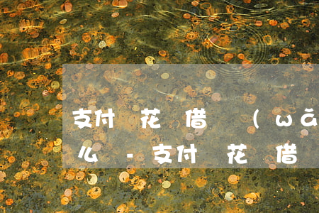 支付寶花唄借唄網(wǎng)商貸逾期怎么辦-支付寶花唄借唄網(wǎng)商貸逾期怎么辦啊