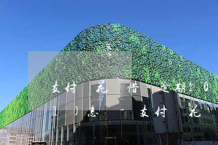 支付寶花唄借唄逾期10000多會(huì)怎樣-支付寶花唄借唄逾期10000多會(huì)怎樣處理