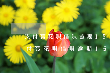 支付寶花唄借唄逾期150天會上門嗎-支付寶花唄借唄逾期150天會上門嗎是真的嗎