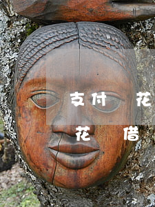 支付寶花唄借唄逾期250多天了-支付寶花唄借唄逾期250多天了怎么辦