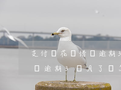 支付寶花唄借唄逾期3個月-支付寶花唄借唄逾期3個月了會怎么樣?