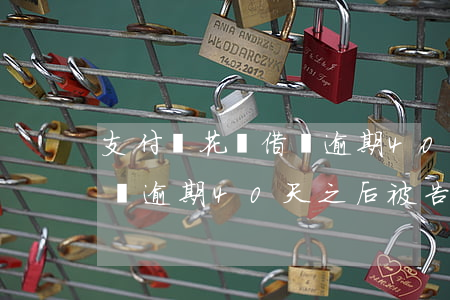支付寶花唄借唄逾期40天-支付寶花唄借唄逾期40天之后被告知提前結(jié)清違規(guī)嗎?