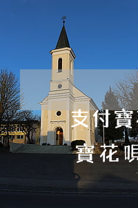 支付寶花唄借唄逾期5個(gè)月-支付寶花唄借唄逾期5個(gè)月會怎樣