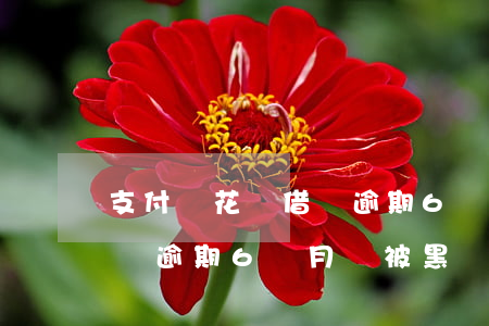 支付寶花唄借唄逾期6個月-支付寶花唄借唄逾期6個月會被黑戶