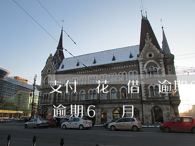 支付寶花唄借唄逾期6個月（支付寶花唄借唄逾期6個月）