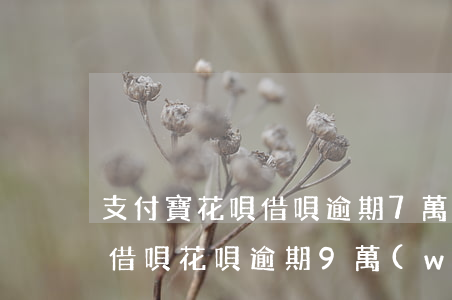 支付寶花唄借唄逾期7萬(wàn)（支付寶借唄花唄逾期9萬(wàn)）