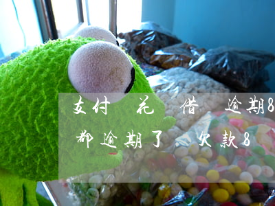 支付寶花唄借唄逾期8千塊(支付寶花唄借唄都逾期了總欠款8萬多)
