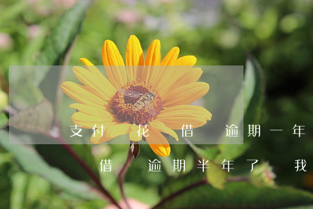 支付寶花唄借唄逾期一年會寄律師函嗎-花唄借唄逾期半年了給我寄了律師函