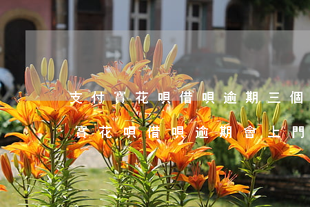 支付寶花唄借唄逾期三個月上門催收嗎?（支付寶花唄借唄逾期會上門催款嗎）