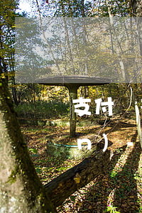 支付寶花唄借唄逾期了4千多塊錢(qián)-支付寶花唄借唄逾期了4千多塊錢(qián)怎么辦