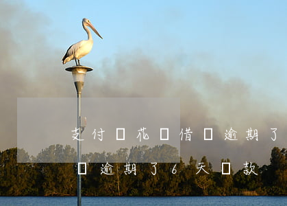 支付寶花唄借唄逾期了6天-支付寶花唄借唄逾期了6天還款