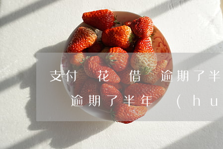 支付寶花唄借唄逾期了半年-支付寶花唄借唄逾期了半年會(huì)不會(huì)被起訴