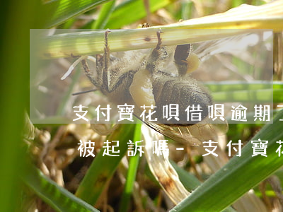 支付寶花唄借唄逾期了大半年會(huì)被起訴嗎-支付寶花唄借唄逾期了大半年會(huì)被起訴嗎