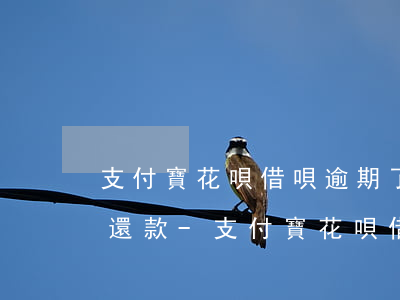 支付寶花唄借唄逾期了怎么協(xié)商還款?-支付寶花唄借唄逾期了怎么協(xié)商還款呢