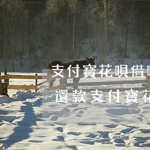 支付寶花唄借唄逾期了怎么協(xié)商還款?（支付寶花唄借唄逾期協(xié)商還款）
