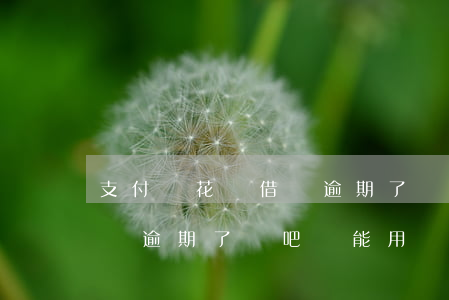 支付寶花唄借唄逾期了貼吧-支付寶花唄借唄逾期了貼吧還能用嗎