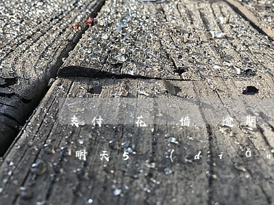 支付寶花唄借唄逾期兩個(gè)月通知我明天5點(diǎn)要還清沒(méi)有（支付寶花唄借唄逾期6天）