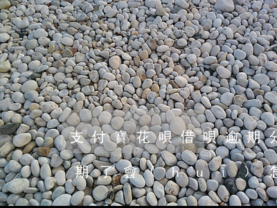 支付寶花唄借唄逾期分付(支付寶花唄借唄逾期了會(huì)怎么樣嗎)