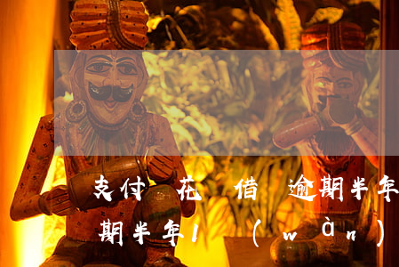 支付寶花唄借唄逾期半年(支付寶花唄借唄逾期半年1萬(wàn)6會(huì)去老家嗎)