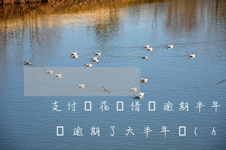 支付寶花唄借唄逾期半年起訴(支付寶花唄借唄逾期了大半年會(huì)被起訴嗎)