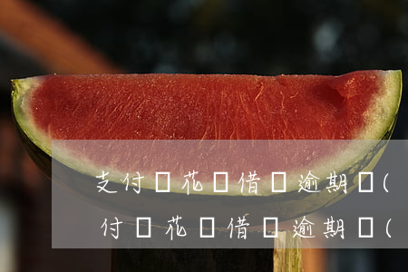 支付寶花唄借唄逾期協(xié)商分期(支付寶花唄借唄逾期協(xié)商分期)