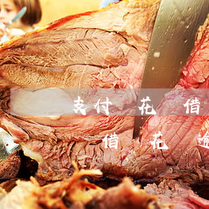 支付寶花唄借唄逾期可以協商分期嗎-支付寶借唄花唄逾期可以給客服打電話協商還款嗎