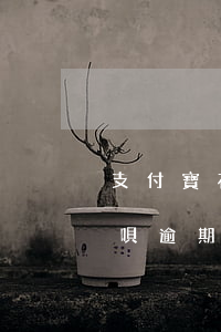 支付寶花唄借唄逾期后利息-支付寶花唄借唄逾期后利息怎么算