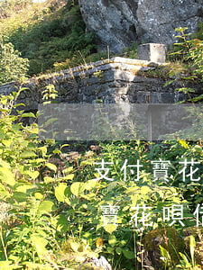 支付寶花唄借唄逾期后恢復(fù)-支付寶花唄借唄逾期后恢復(fù)額度