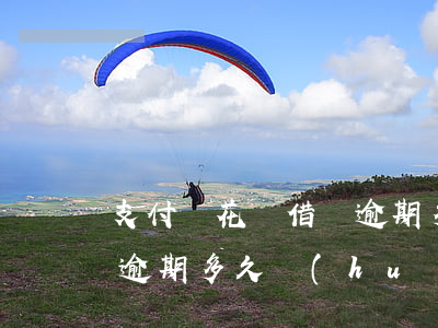 支付寶花唄借唄逾期多久上征信(支付寶借唄逾期多久會(huì)上征信多久可以消除花唄)