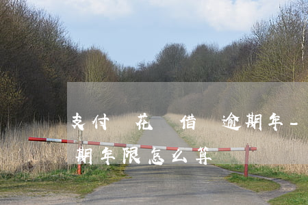 支付寶花唄借唄逾期年-支付寶花唄借唄逾期年限怎么算