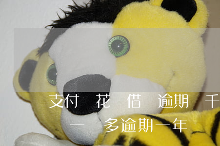 支付寶花唄借唄逾期幾千變十萬-支付寶借唄一萬多逾期一年