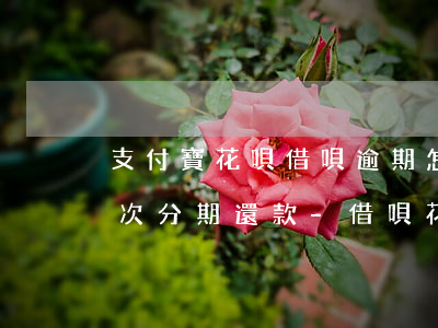 支付寶花唄借唄逾期怎么協(xié)商二次分期還款-借唄花唄逾期協(xié)商二次分期有什么技巧