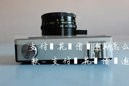 支付寶花唄借唄逾期怎么協(xié)商還款-支付寶花唄借唄逾期協(xié)商還款話(huà)術(shù)