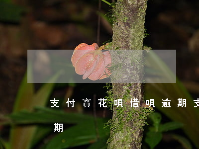 支付寶花唄借唄逾期（支付寶借唄扣款失敗逾期）