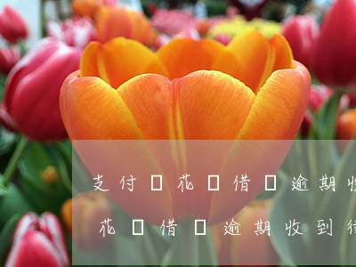 支付寶花唄借唄逾期收到了律師函-支付寶花唄借唄逾期收到律師函后會怎樣