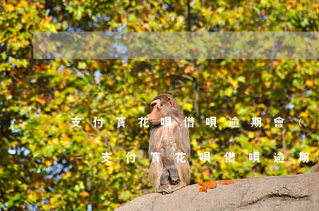 支付寶花唄借唄逾期會(huì)坐牢嗎嗎-支付寶花唄借唄逾期會(huì)坐牢嗎?
