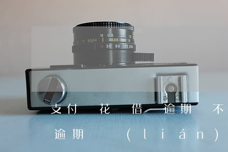 支付寶花唄借唄逾期會不會打單位電話（花唄逾期會聯(lián)系工作單位嗎）